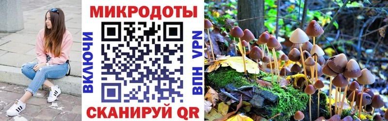 Купить закладки Сертолово Галлюциногенные грибы MAGIC MUSHROOMS