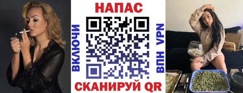 Конопля сатива  Купить где  Сертолово 
